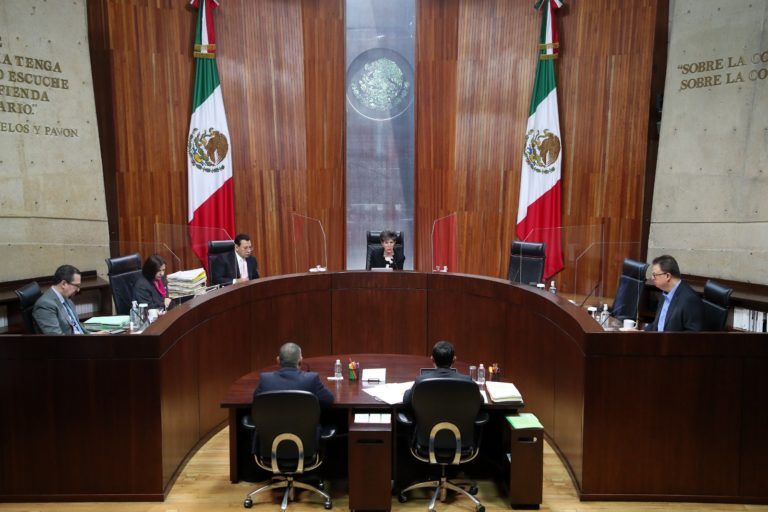 Hace públicos el Tribunal Electoral dos proyectos de resolución