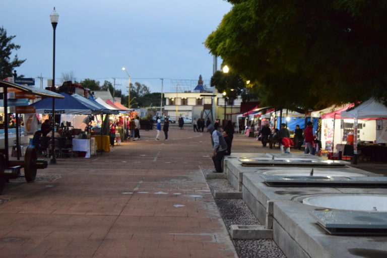 Comerciantes de Aguascalientes demandan poner freno a la informalidad