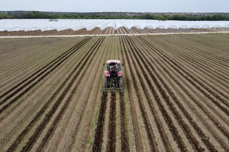 Agricultores de Aguascalientes recibirán fertilizantes la próxima semana 