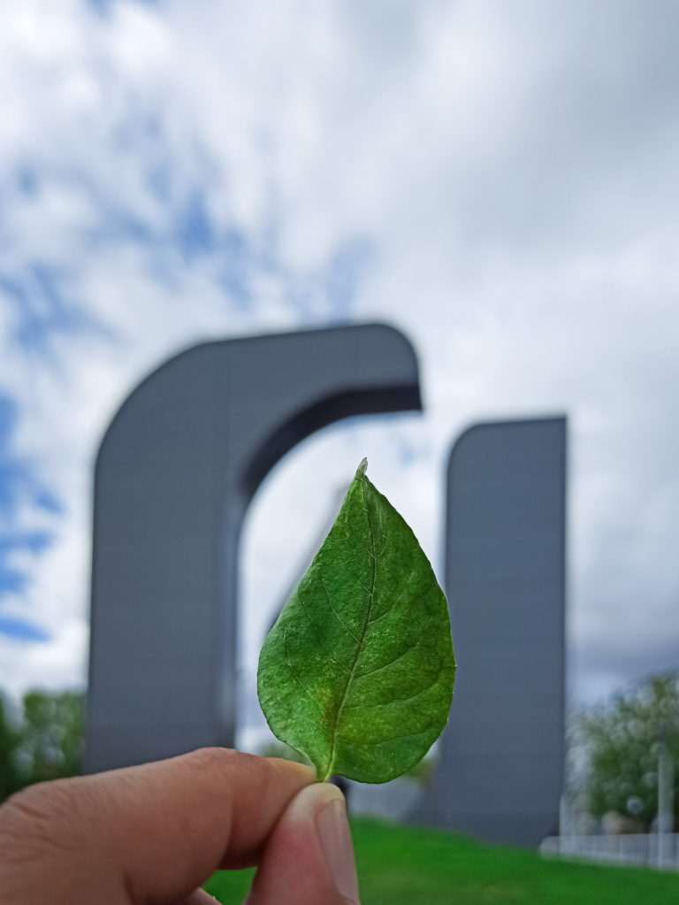 UAA obtiene certificación internacional de su Sistema de Gestión Integral 