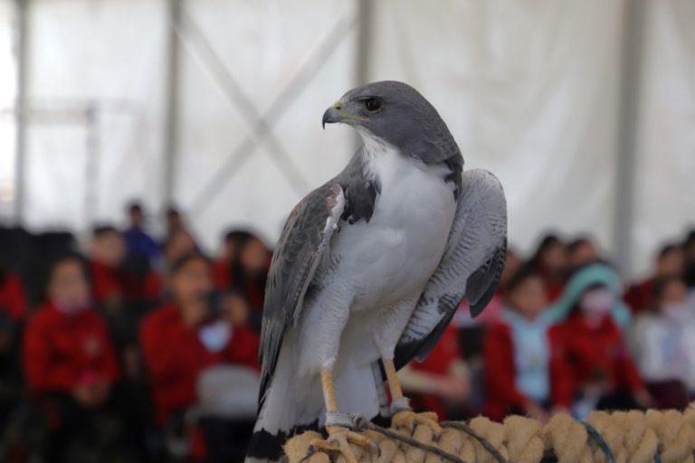 Celebran en Jesús María el Día Mundial de la Educación Ambiental