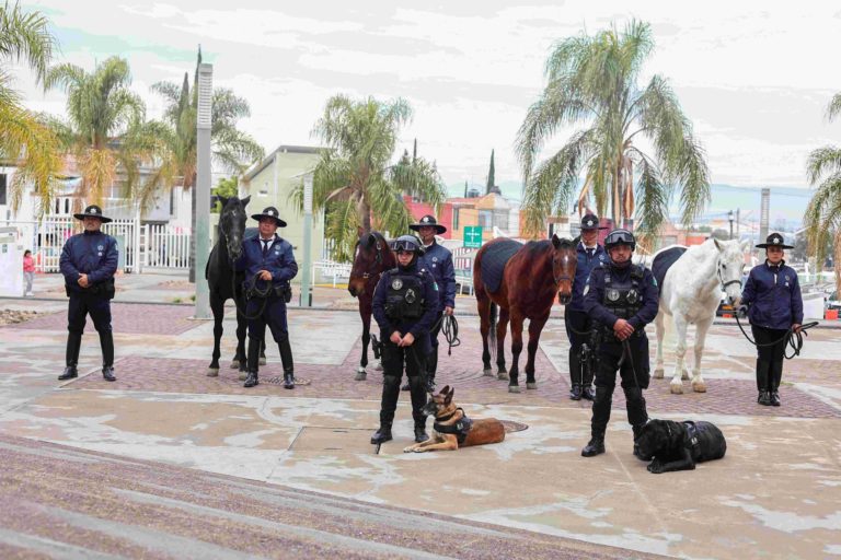 Jubilan con honores por años de servicio a caninos y equinos de la policía municipal de Aguascalientes