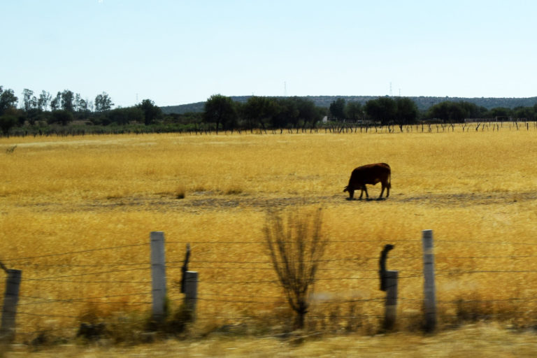Autoridades sin proyectos actualizados ante eventualidades climáticas en Aguascalientes