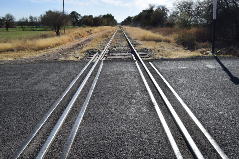 Trenes de pasajeros no son financieramente sostenibles: FERROMEX