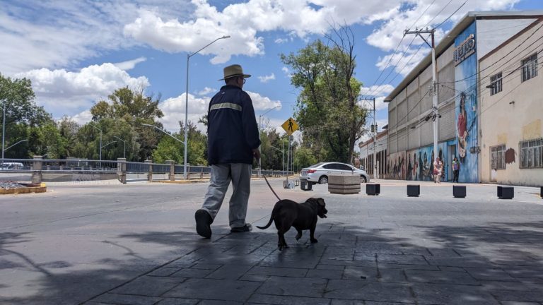 Impulsarán iniciativa para garantizar movilidad del peatón en Aguascalientes