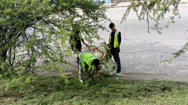 Avanza la implementación del programa “Trabajo en favor de la comunidad” en Aguascalientes