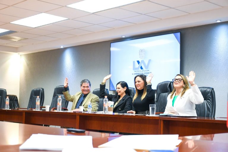 Desde el Congreso del Estado proponen reformas en materia de obra pública, pensiones, salud y bienestar animal