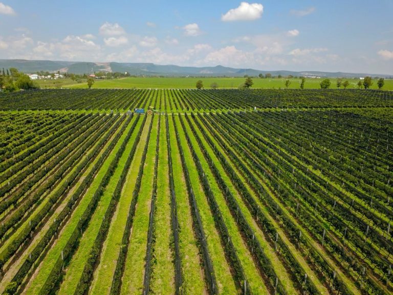 Gobierno del Estado de Aguascalientes anunció apoyos para equipamiento de pozos en el campo
