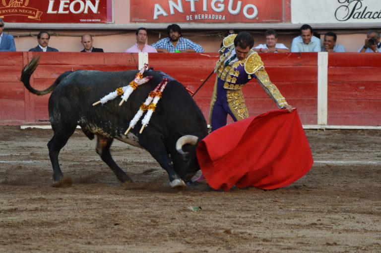 Se retomará iniciativa en el Congreso para prohibir las corridas de toros en Aguascalientes