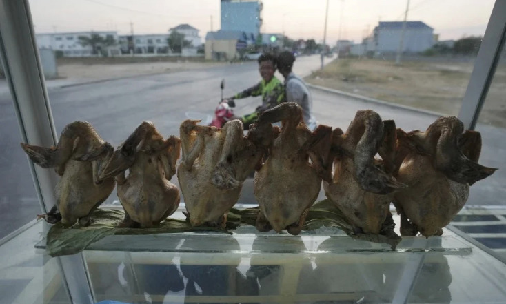 Nuevo caso de gripe aviar en Camboya: Hermano de niño que murió del virus