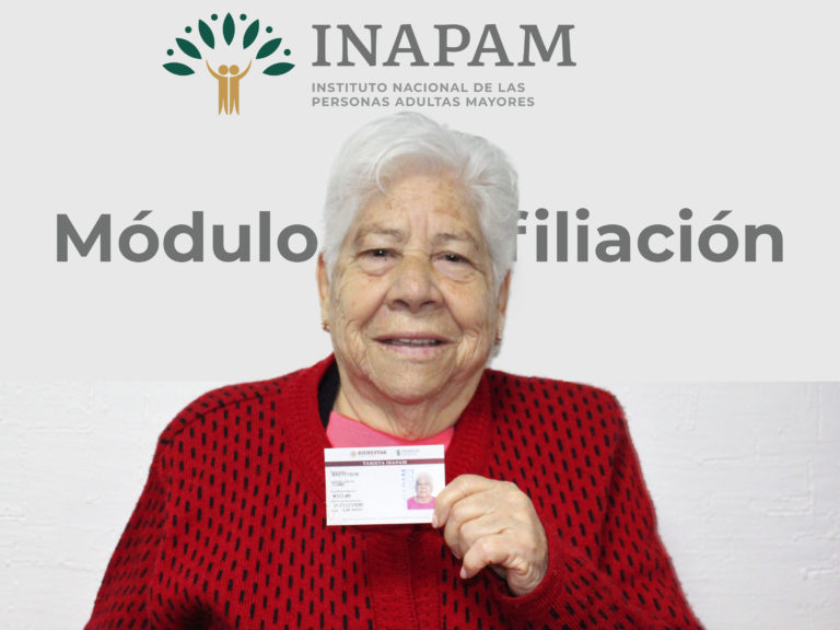 Presidencia de la República debe dar a conocer designación del director del INAPAM