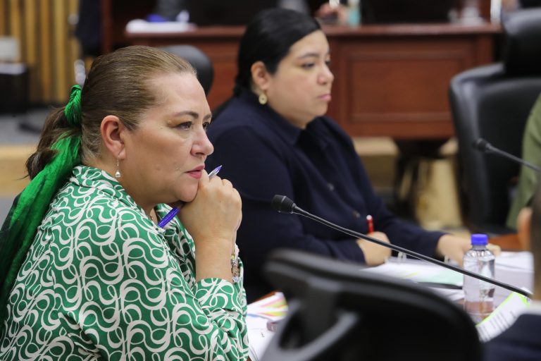 Dará INE igualdad de condiciones y equidad al registro de candidatas y candidato presidencial: Taddei Zavala