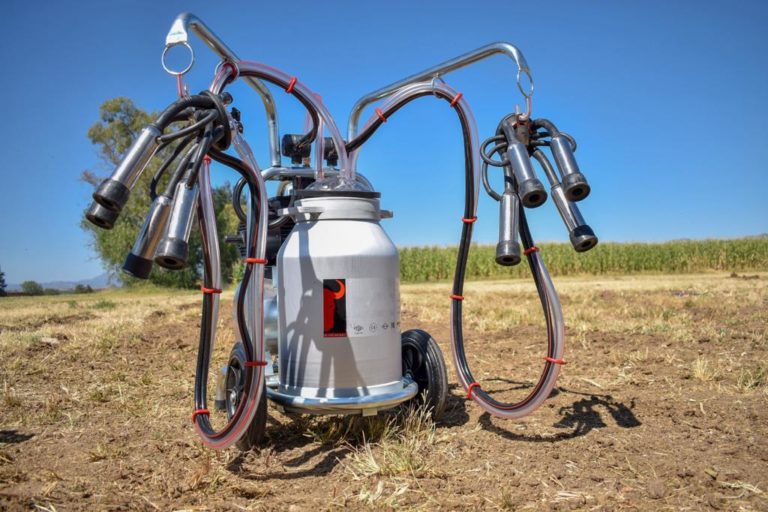 Productores ganaderos podrán acceder a apoyos por parte del Gobierno del Estado de Aguascalientes