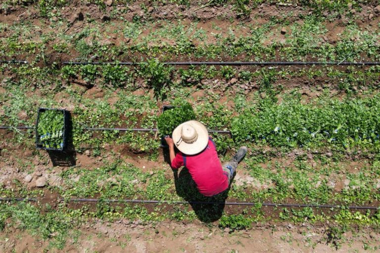 Anuncian apoyos para la tecnificación de riegos en el campo en Aguascalientes