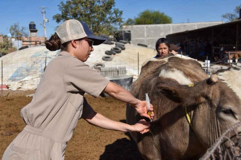 Se anunció el Programa Estatal de Acompañamiento Técnico-Veterinario en tu Rancho 2024