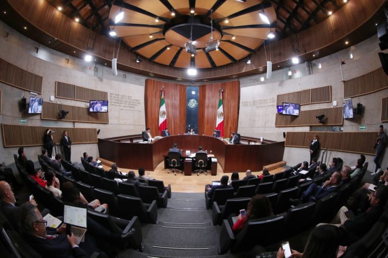 TEPJF confirmó sanciones impuestas al PRI y PAN con motivo de las actividades realizadas en proceso interno de selección