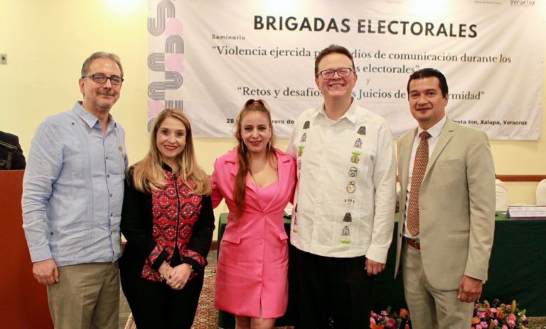 Violencia política de género debe ser causal de nulidad y debe regularse el registro nacional de violentadores