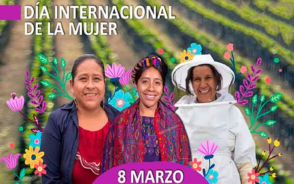 La violencia de género demanda estrategias preventivas