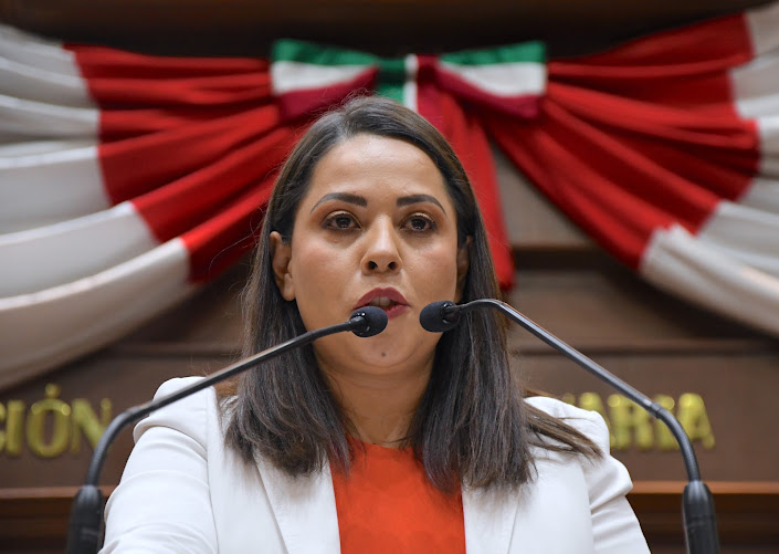 Movimiento Ciudadano es el único partido con candidaturas ciudadanas: Rodríguez Sendejas