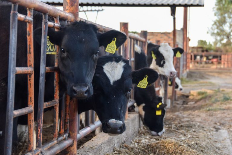 Gobierno del Estado firmó colaboración con ganaderos de San Francisco de los Romo