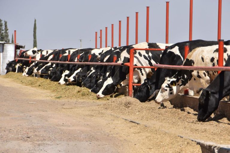 Gobierno del Estado de Aguascalientes entregó apoyos a 3 mil productores del campo