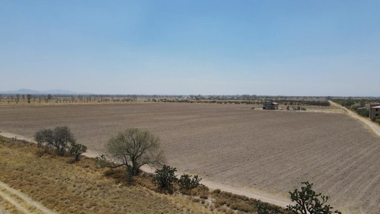 Sequía severa golpea al país 