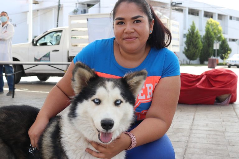 PROESPA llevará servicios veterinarios gratuitos a Asientos