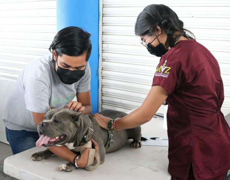 Existen casos de rabia en animales silvestres en Aguascalientes