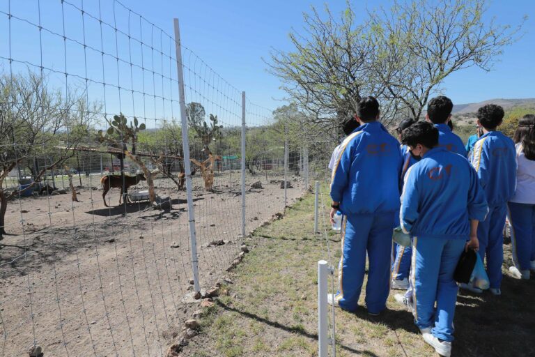 Recorridos guiados de la Posta Zootécnica recibieron cerca de mil visitantes en 2023