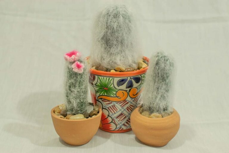 Artesanos presentarán sus productos en el Patio de las Jacarandas de Aguascalientes