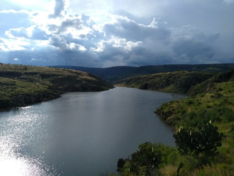 Aguascalientes se suma a la lucha por la conservación de ecosistemas