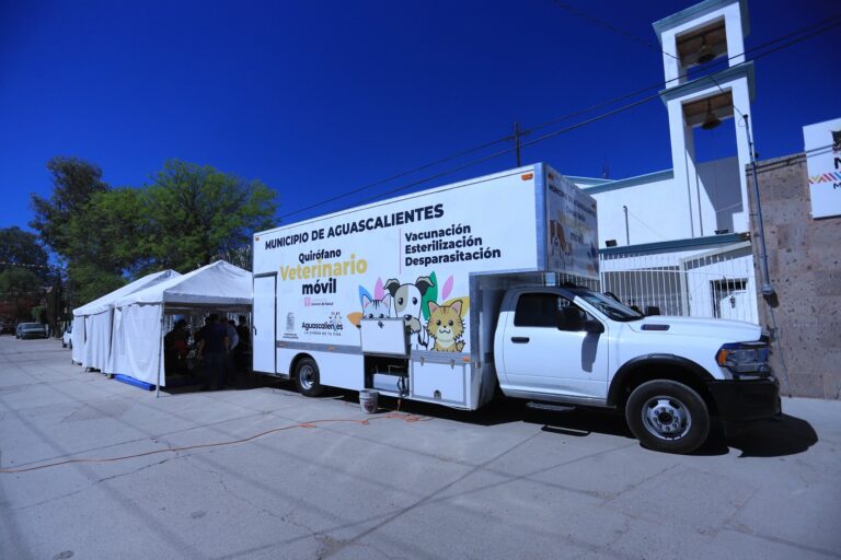 Invitan a jornada de esterilización gratuita en el quirófano veterinario móvil 