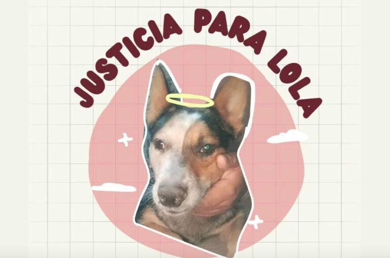 Cumplieron orden de aprehensión contra persona que mató a la perrita Lola en Aguascalientes