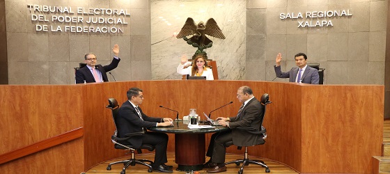 Hace públicos el Tribunal Electoral tres proyectos de resolución