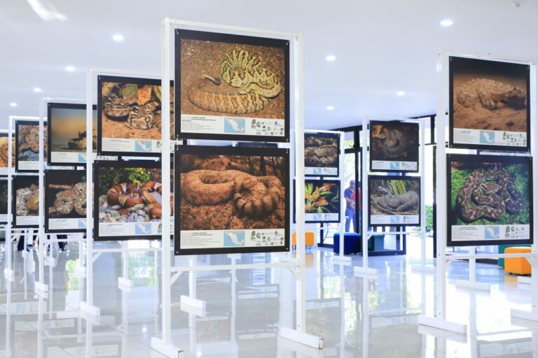 Presentan en la UAA la exposición fotográfica “Víboras mexicanas: Un patrimonio de la humanidad”
