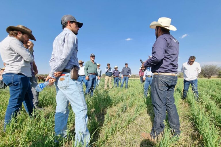 Extorsiones a agroproductores y transportistas encarecen en un 30% las mercancías en Aguascalientes