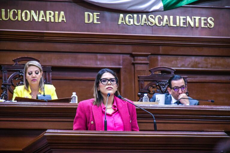 Hay una desorganización total en el IEE Aguascalientes, asegura Genny López Valenzuela