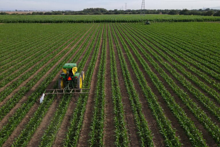 Falta de lluvia pone en riesgo la siembra de este año en Aguascalientes
