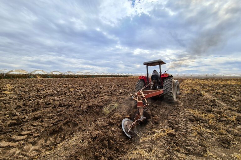Ciclos agrícolas en riesgo por sequía en Aguascalientes