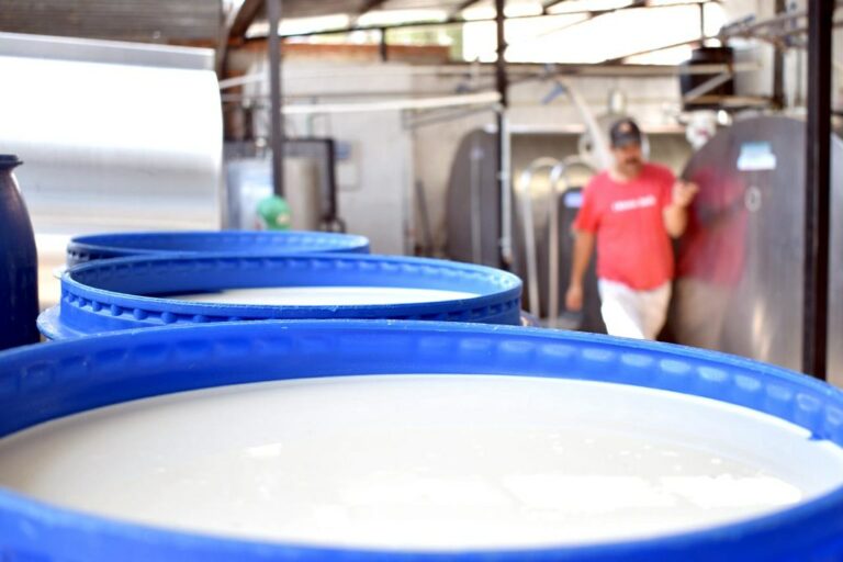 Productores de Aguascalientes venden leche de buena calidad a bajo precio