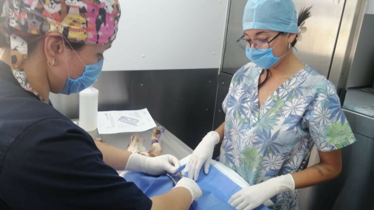 Continúan las campañas de esterilización en el Quirófano Veterinario Móvil
