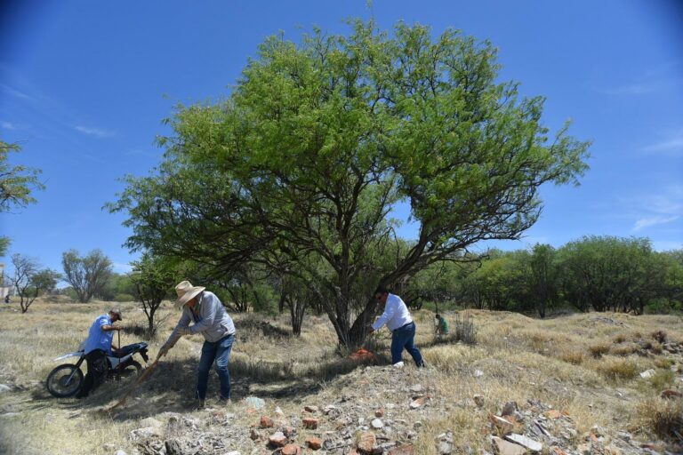 Trabaja SEMADESU en la prevención de incendios forestales en La Pona