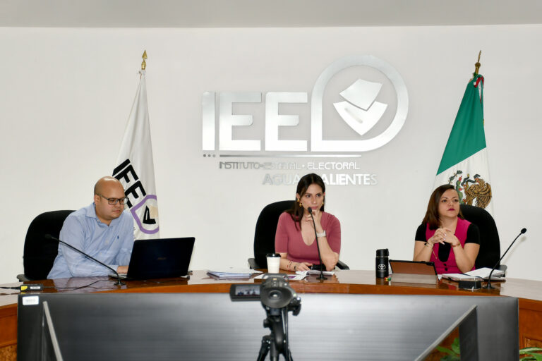 IEE crea protocolo de seguridad, las elecciones locales podrían verse afectadas por el clima de inseguridad nacional
