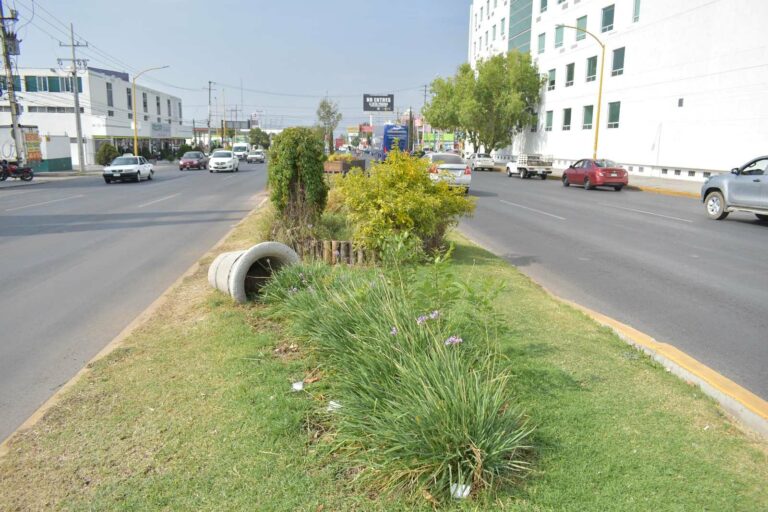 Cierres parciales a la circulación por reforestación en camellón de primer anillo