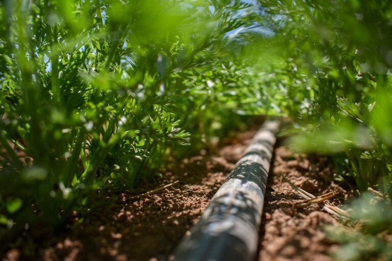 Aguascalientes se prepara para reducir impacto de la sequía