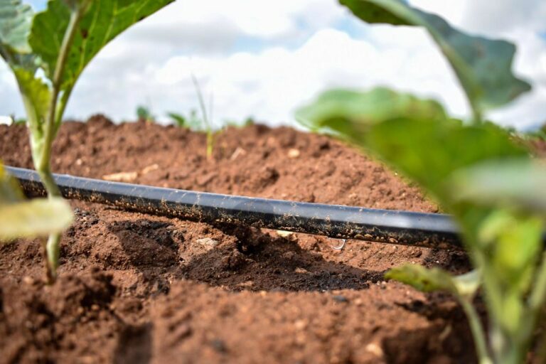 Para enfrentar la sequía en Aguascalientes la palabra clave será “sustentabilidad”