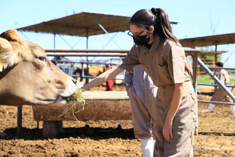 UAA tiene destacada participación en campañas de vacunación de ganado