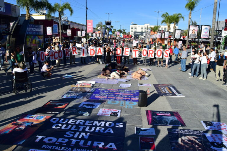 Se conforma la Cofradía Antitaurina en Aguascalientes