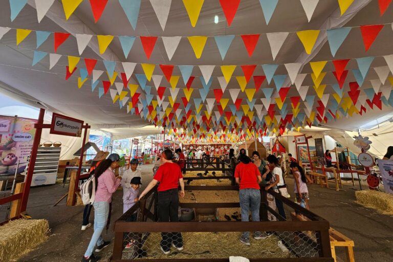 Todo listo para festejar a niñas y niños en la Isla San Marcos