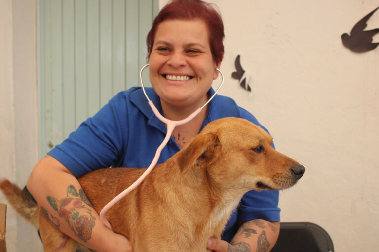 Esta semana servicios veterinarios gratuitos en San Cayetano y Pocitos